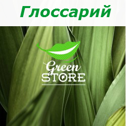 Глоссарий